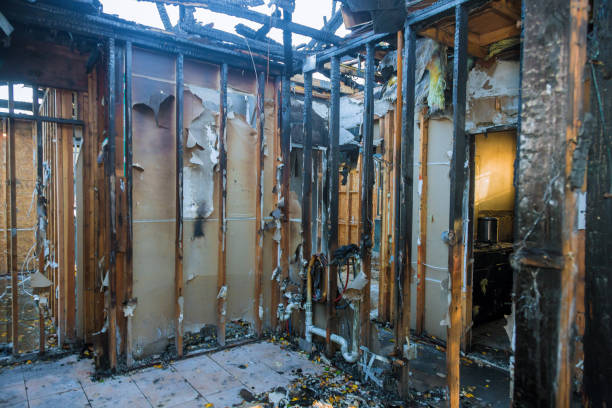 Professional Odor Removal technician working in Lapel, IN